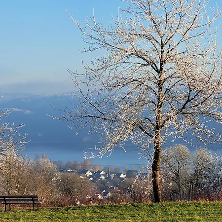 Ankerplatz Wangen Апартаменты